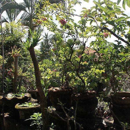 Raditia Homestay Ubud Eksteriør bilde