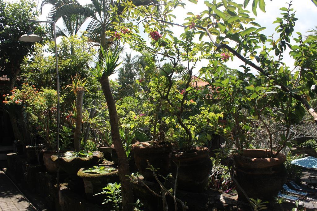 Raditia Homestay Ubud Eksteriør bilde